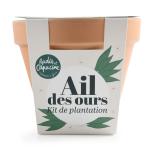 Radis et Capucine - Kit Ail des Ours - Pot en Terre Cuite Antique - 13 cm - face recto